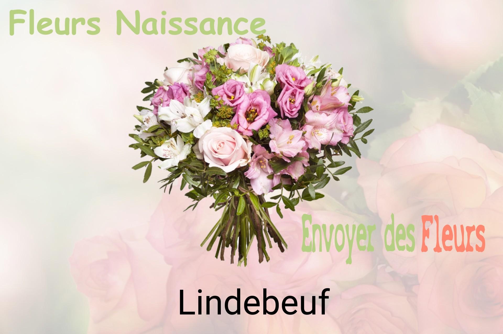 Bouquet de fleurs de naissance livré à Lindebeuf